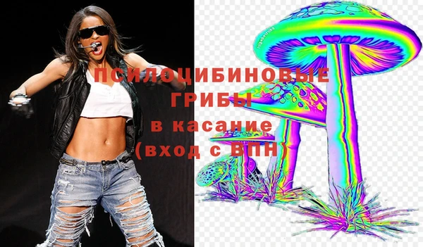 мдма Богданович